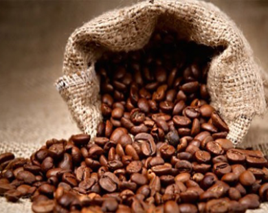Giá cà phê Tây Nguyên đảo chiều tăng lên 37,9 - 39 triệu đồng tấn