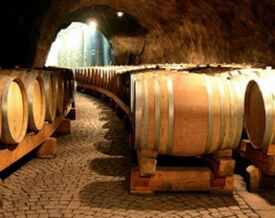 Italy có thể mất vị trí sản xuất rượu vang hàng đầu cho Pháp