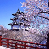 Nhật Bản đơn giản hóa thủ tục xin visa cho khách du lịch Việt Nam