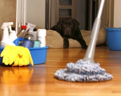 Những trường hợp làm sạch nhà không nên dùng giấm