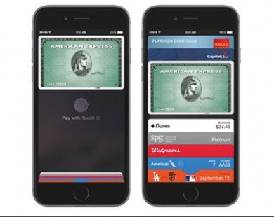 IOS 8.1 với Apple Pay có thể phát hành ngày 20/10