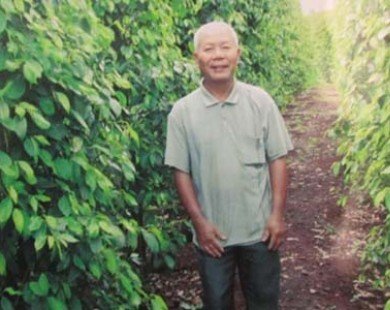 Gặp người trồng tiêu giỏi nhất thế giới ở Bình Phước