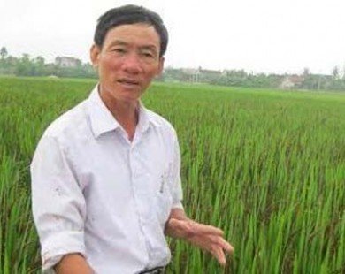 Lão nông xứ Nghệ mơ đưa trà gạo thảo dược đi khắp thế giới