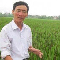 Lão nông xứ Nghệ mơ đưa trà gạo thảo dược đi khắp thế giới