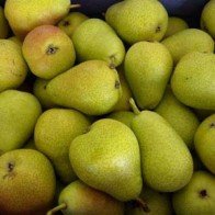 Canada sẽ trở thành thị trường nhập khẩu mới cho hoa quả Bỉ