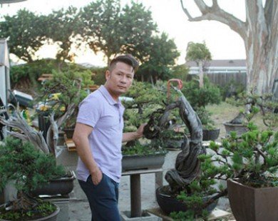 Bằng Kiều khoe vườn bonsai tiền tỷ ở Mỹ