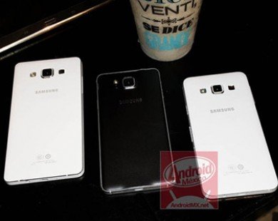 Samsung Galaxy Alpha A5 và A3 lộ ảnh thực tế