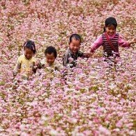 9 Trải nghiệm nên thử ở Hà Giang