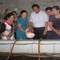 Biến bãi hoang thành trang trại tôm doanh thu chục tỷ mỗi năm