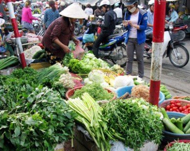 Nhiều người tiêu dùng lánh xa hoa quả Trung Quốc