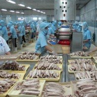 Nga muốn tăng cường nhập khẩu nhiều hàng hóa của Việt Nam