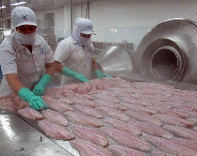 Nhờ cá tra, Việt Nam đứng đầu về xuất khẩu cá phile sang Brazil