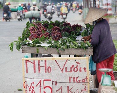 Nho Trung Quốc lại đội lốt Ninh Thuận tràn ra thị trường