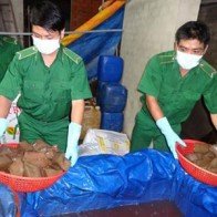 Công nghệ chế biến tiết thối đóng cục thành món ăn thơm ngon