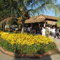 Bến Tre tiếp tục tôn vinh đặc sản dừa