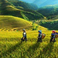 Hội chợ du lịch Tây Bắc 2014 được tổ chức tại Hà Giang