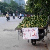 Hoa quả Tàu dán mác Việt, Mỹ ở khắp "hang cùng ngõ hẻm" Hà Nội