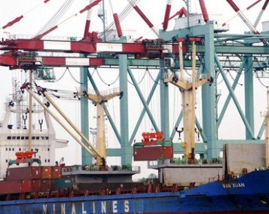 Kiến nghị cho Tân Cảng Hiệp Phước tiếp nhận tàu container 50.000 tấn