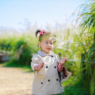 Chìm đắm trong lễ hội cỏ lau tại Hàn Quốc