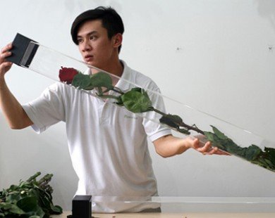 Hoa hồng dài 1,6 m giá 700.000 đồng hút khách Sài Gòn