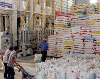Đề xuất bãi bỏ thuế VAT 5% với tiêu thụ gạo trong nước