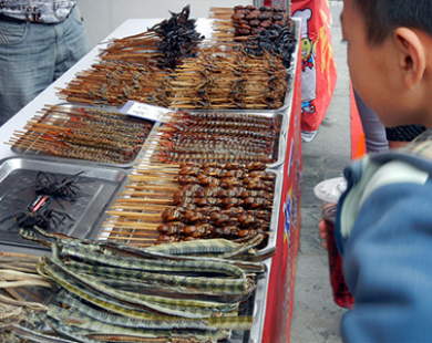 Rợn người lễ hội ẩm thực côn trùng ở Trung Quốc