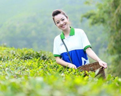 Jenifer Phạm đeo gùi hái chè giữa thiên nhiên xanh mát