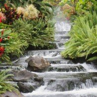 Phát động cuộc thi “Ảnh đẹp du lịch Đồng Nai”