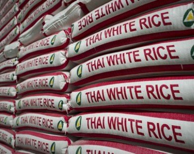 Thái Lan và hành trình giành lại ’’ngôi vương’’ xuất khẩu gạo