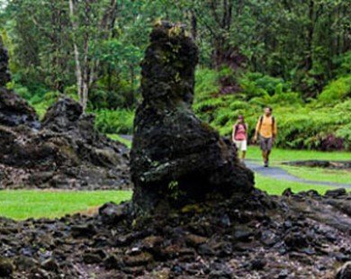 Khám phá rừng cây nham thạch độc đáo ở Hawaii