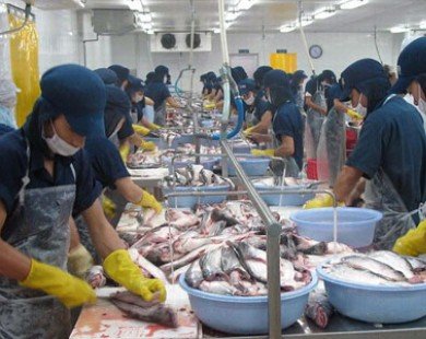 Sản lượng xuất khẩu cá tra của Việt Nam đang tăng trở lại