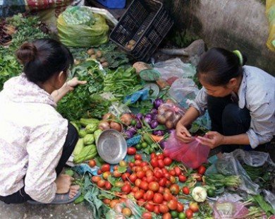 1 kg cà chua ở Lâm Đồng không đổi được 1 quả ở Hà Nội