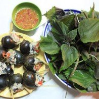 Tía tô - dược liệu vàng trị bách bệnh