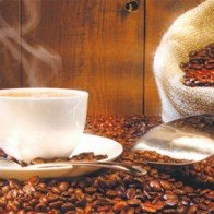 Giá càphê arabica tăng mạnh nhưng tiêu thụ càphê vẫn cao