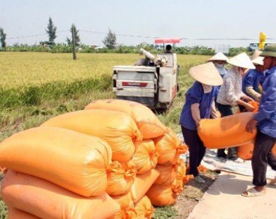 Việt Nam-Ireland ký biên bản hợp tác phát triển nông nghiệp