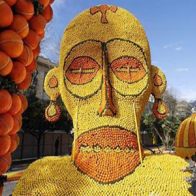 Chiêm ngưỡng sắc vàng rực rỡ tại lễ hội Chanh ở Pháp