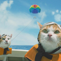 Những sự cố khiến bạn "mất hứng" khi lần đầu du lịch