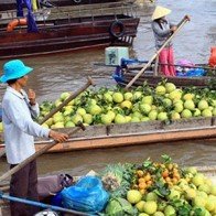 Doanh thu du lịch của thành phố Cần Thơ tăng 160 tỷ đồng