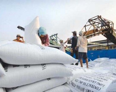 Xuất khẩu gạo ngày càng cạnh tranh khốc liệt