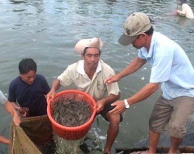Doanh nghiệp Việt Nam đầu tiên đạt chứng nhận thủy sản bền vững