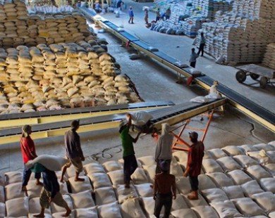 Xuất khẩu gạo chất lượng cao tại các tỉnh ĐBSCL tăng mạnh