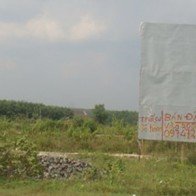 Cò đất đón gió dự án sân bay Long Thành