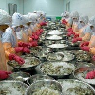 Đồng bằng sông Cửu Long đạt kim ngạch xuất khẩu 9,2 tỷ USD