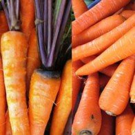 Cách nhận biết cà rốt, hành tây Trung Quốc