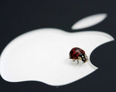 Phát hiện thêm một lỗ hổng bảo mật trong sản phẩm của Apple