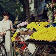 Mùa thu đông đến phương bắc trải nghiệm sống chậm