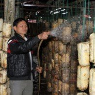 VIB không áp dụng phí phạt khi khách hàng trả nợ trước hạn