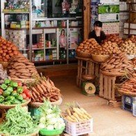 Khoai tây Đà Lạt khan hàng
