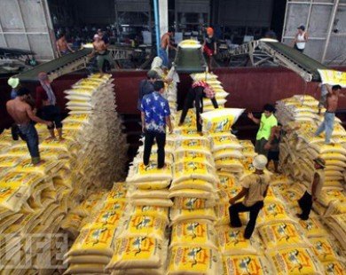 Thái Lan lỗ bao nhiêu trong toàn bộ chương trình trợ giá gạo?