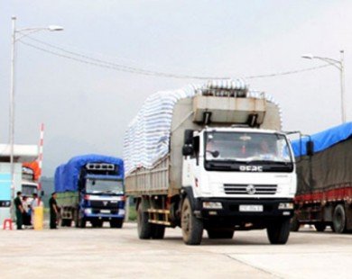 Bộ Giao thông Vận tải: Giá cước vận tải đường bộ có thể giảm từ 5,6 – 8%